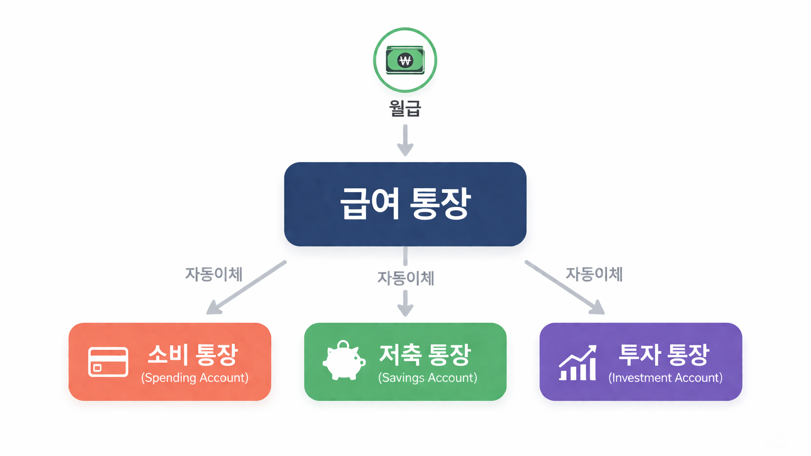 통장 쪼개기 4통장 시스템 구조도 - 급여 통장에서 소비·저축·투자 통장으로 자동이체